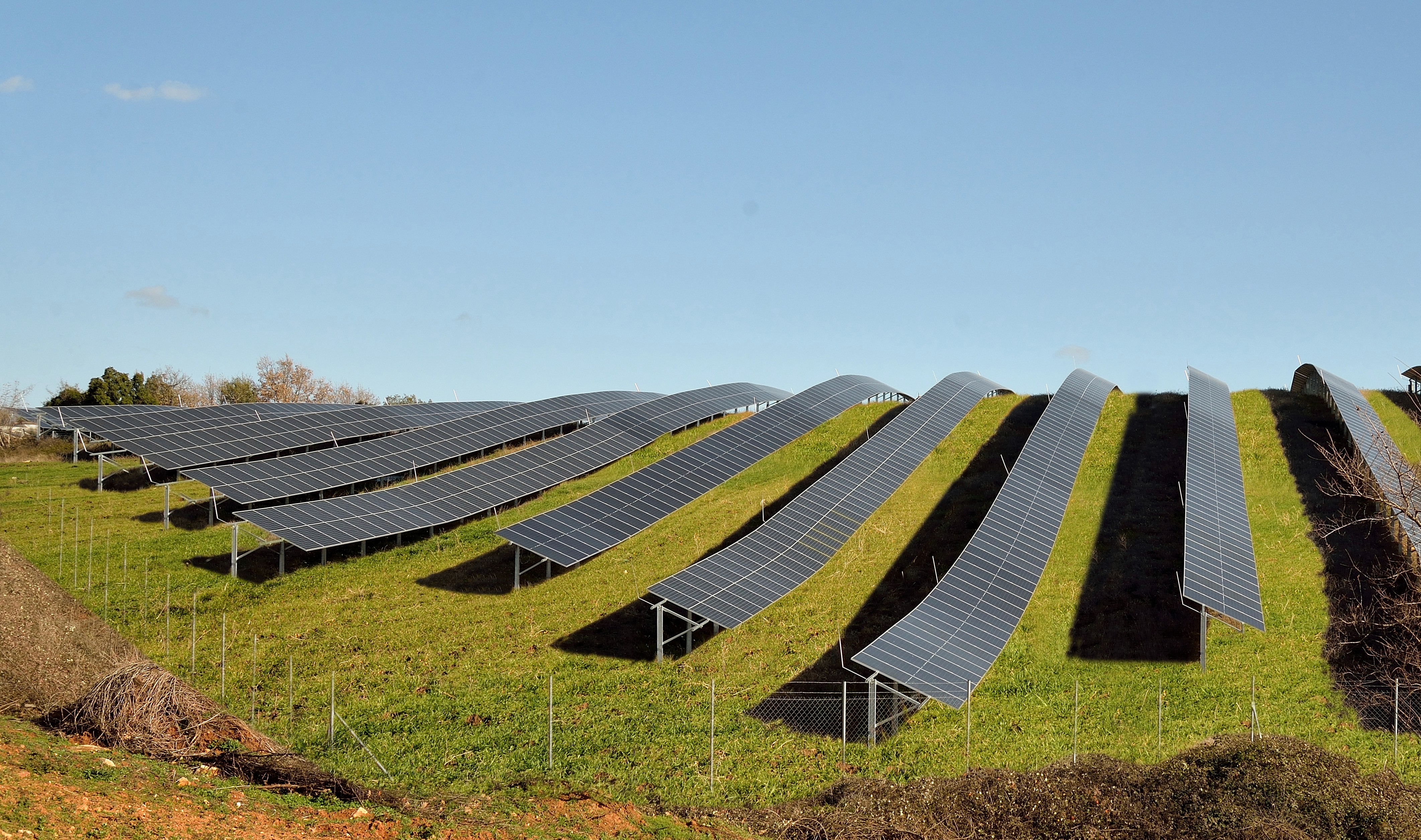 Wide panoramic view of utility-scale photovoltaic solar park installed on sloped landscape