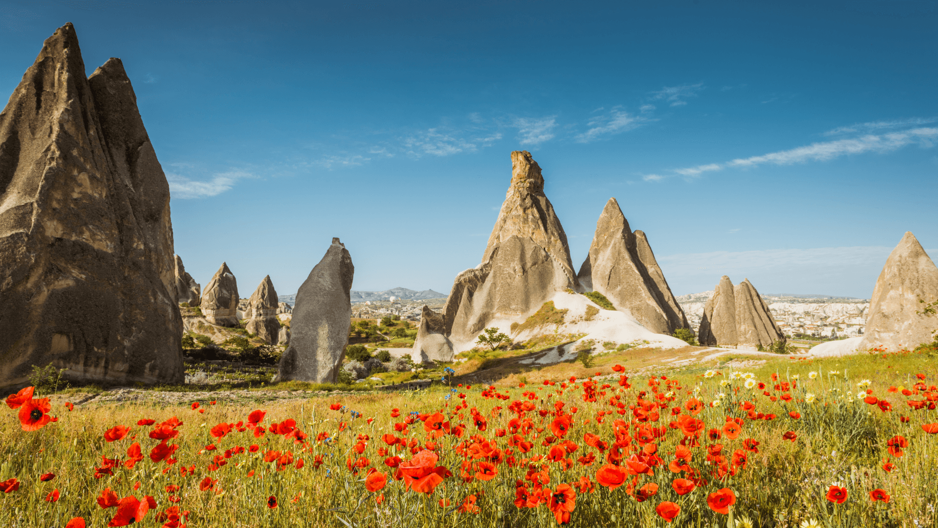 Fairy chimneys and volcanic rock formations in Cappadocia, Türkiye, with a field of red wildflowers in the foreground under a clear blue sky