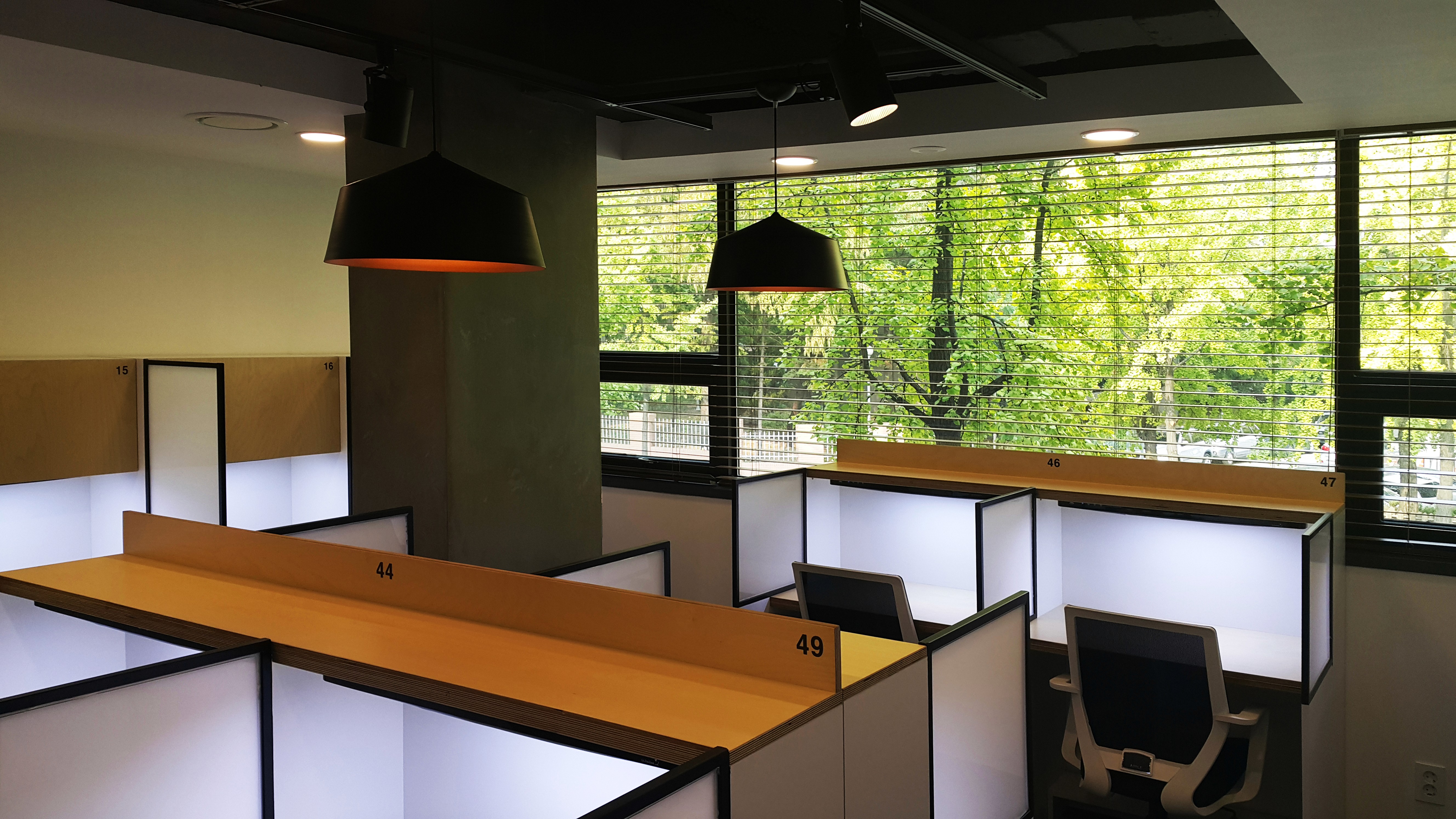 people doing office works