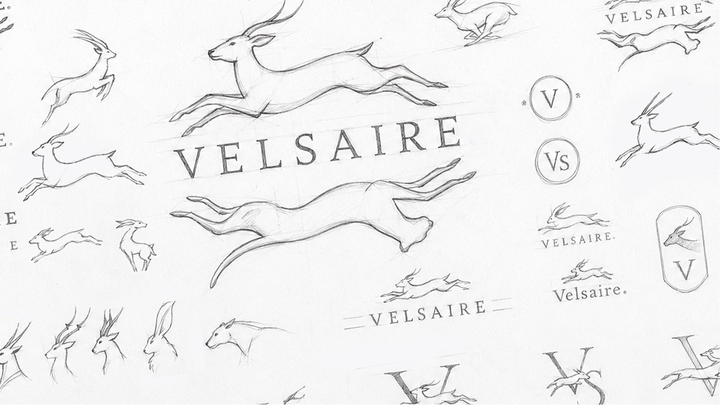 Hand-drawn Sauza Pizzeria logo sketches exploring custom wordmark styles.