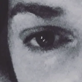 eye