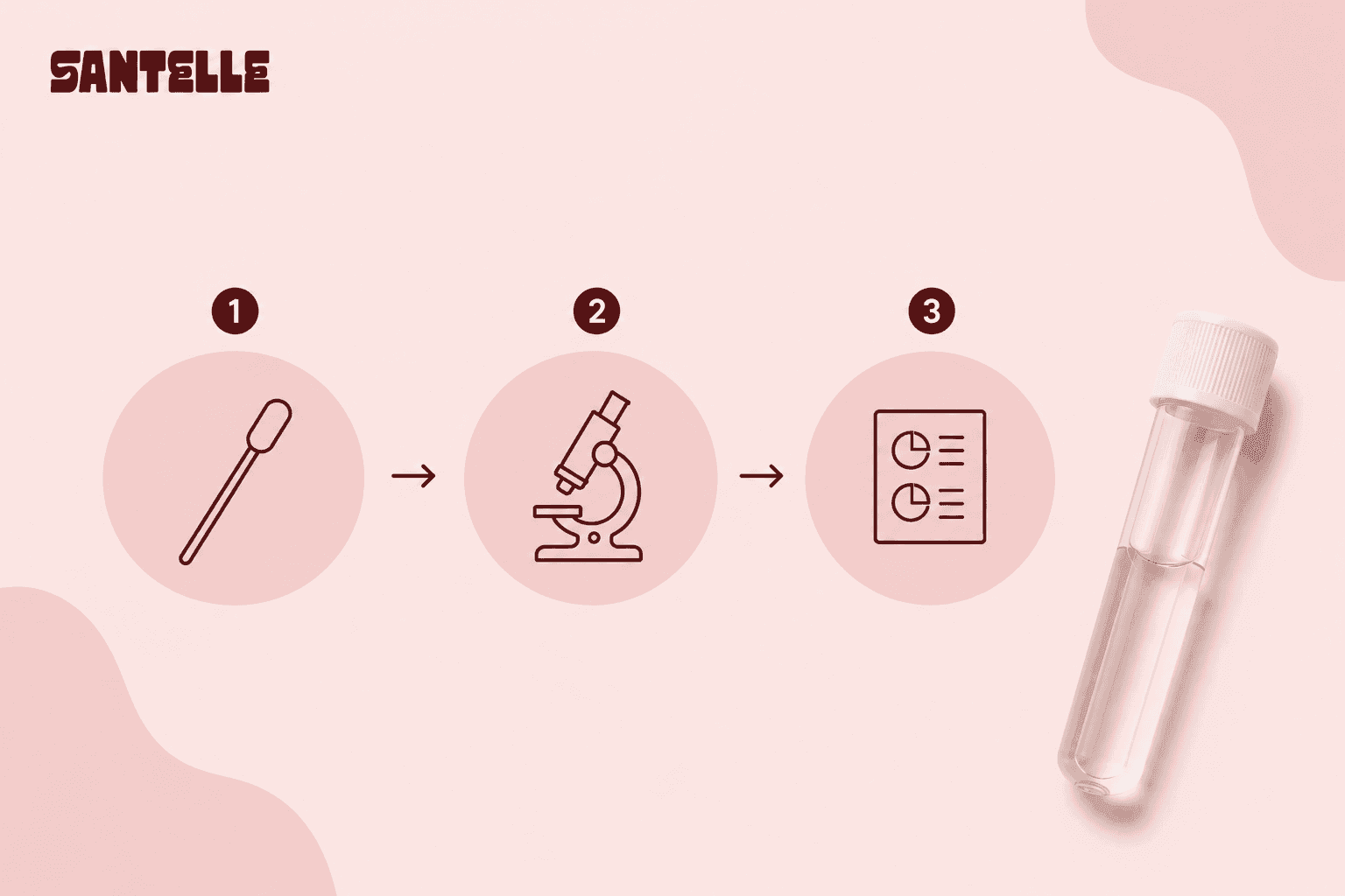 Phases d'un prélèvement vaginal