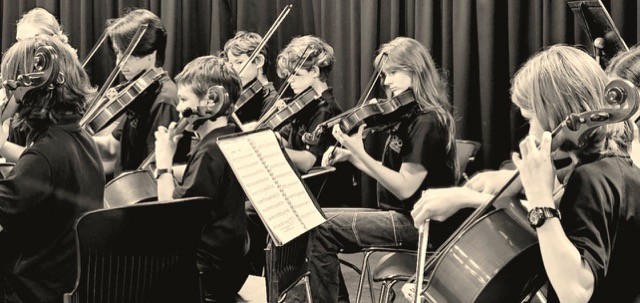Group photo of Cairns String Orchestra members in black uniforms at a regional concert