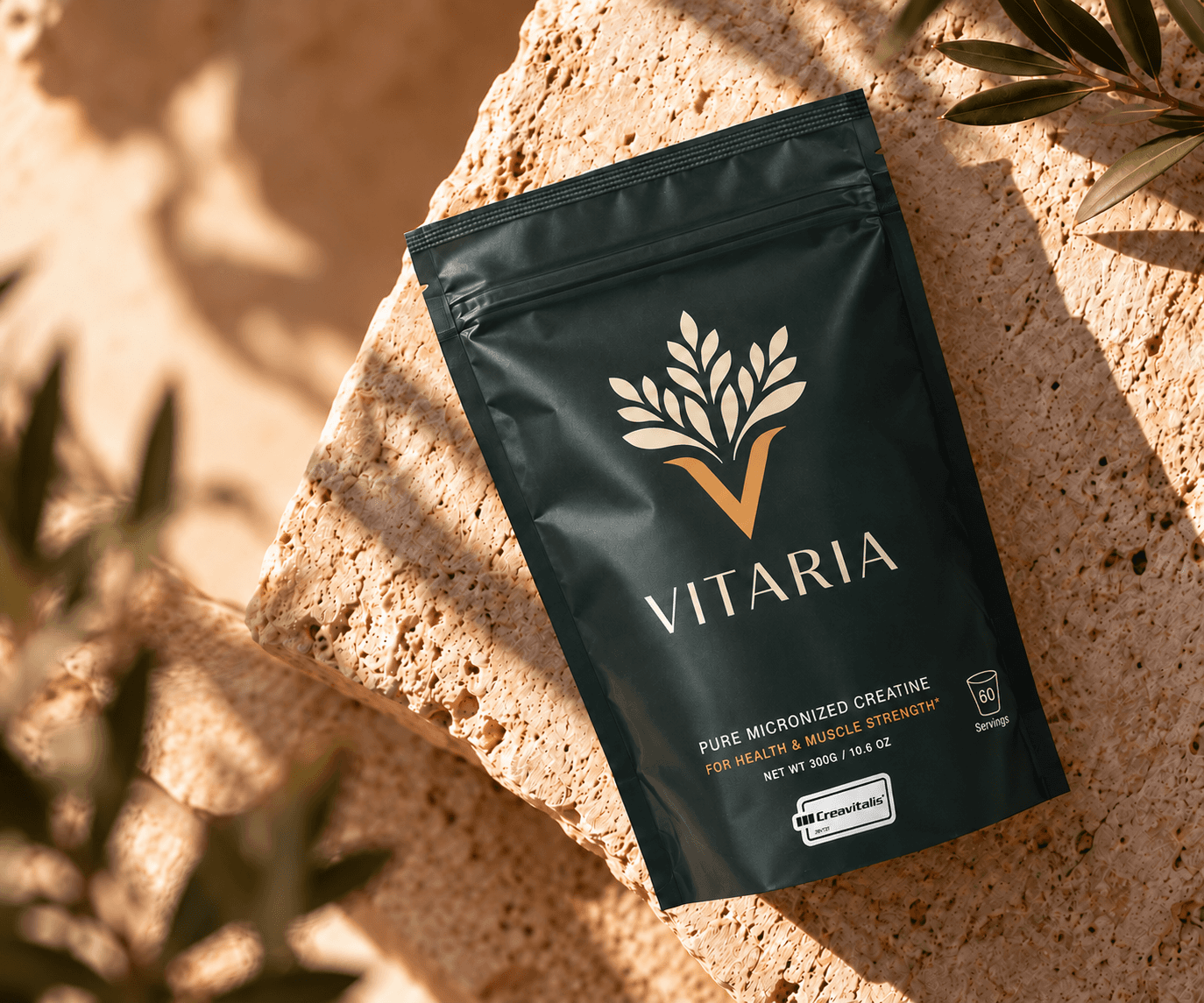 Vitaria Creatine Monohydrate pouch resting on sunlit stone with botanical shadows