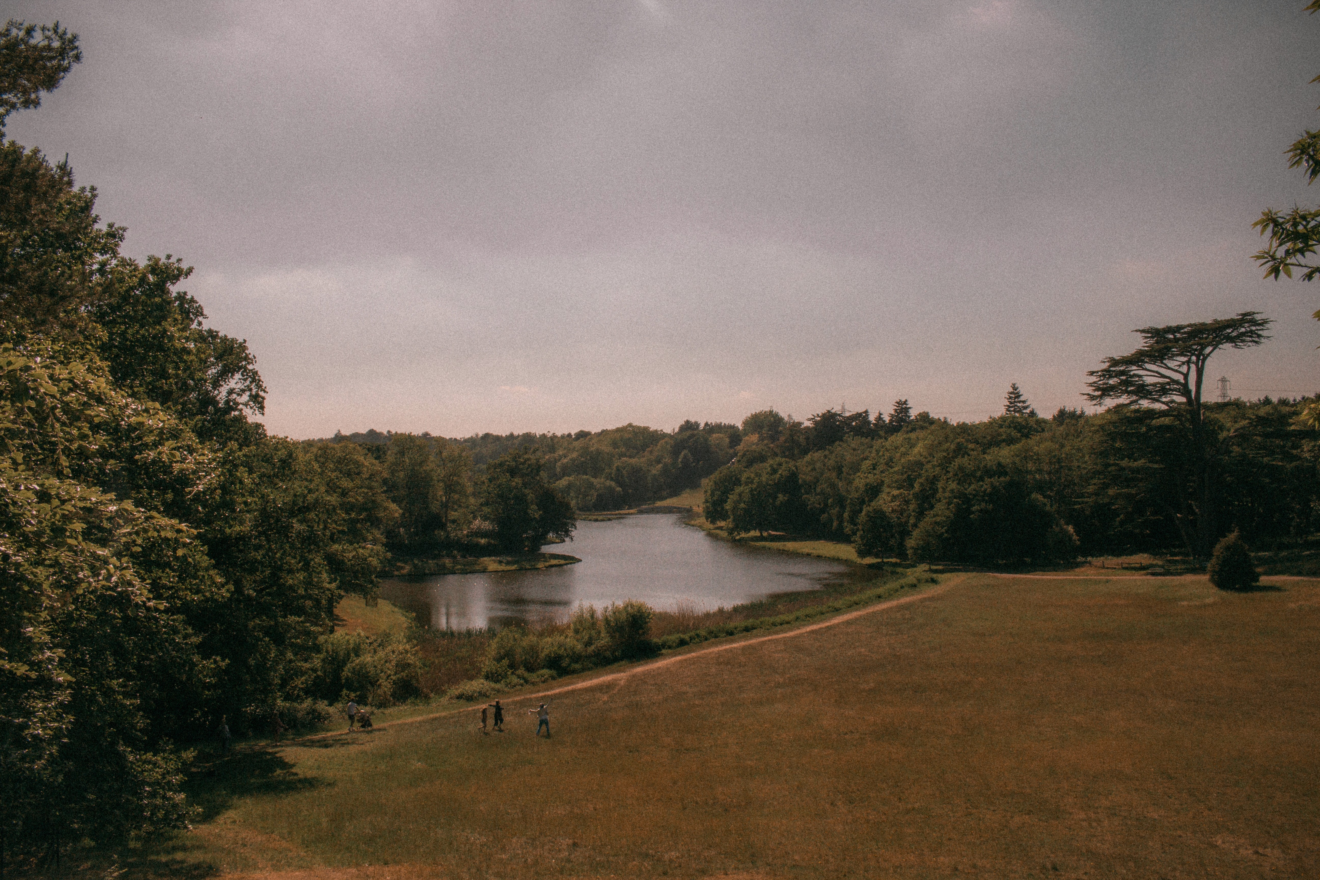 Woman In The Glass Way