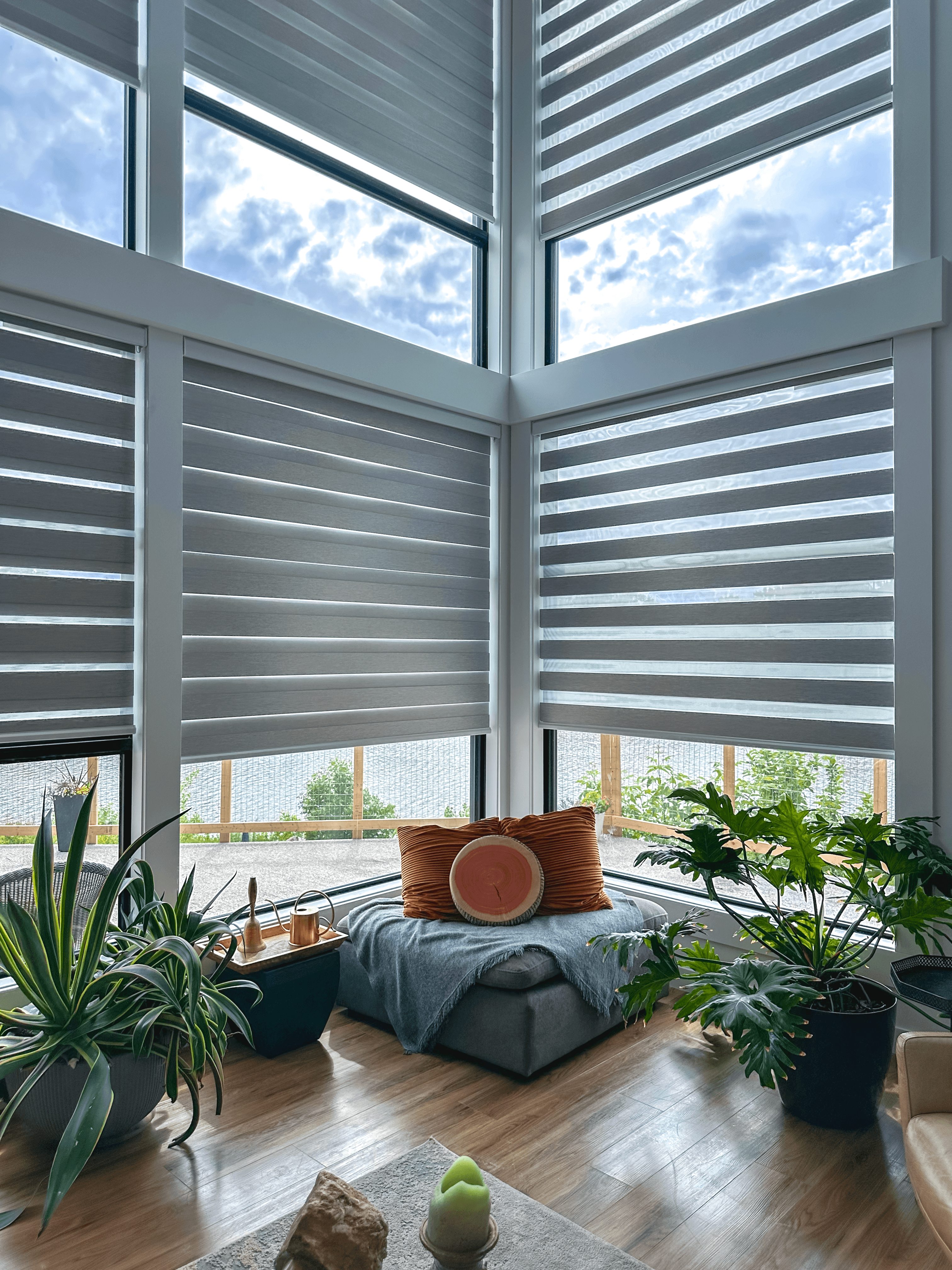 Zebra Blinds for Office Space