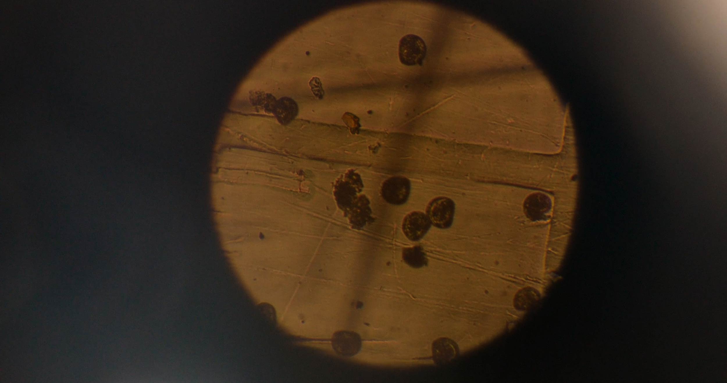 Streetside billboard with flyposters of the Batch.Works brand and illustrations