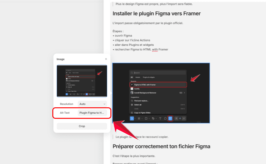 Ajout d’un texte alternatif alt text sur une image dans Framer pour améliorer le référencement