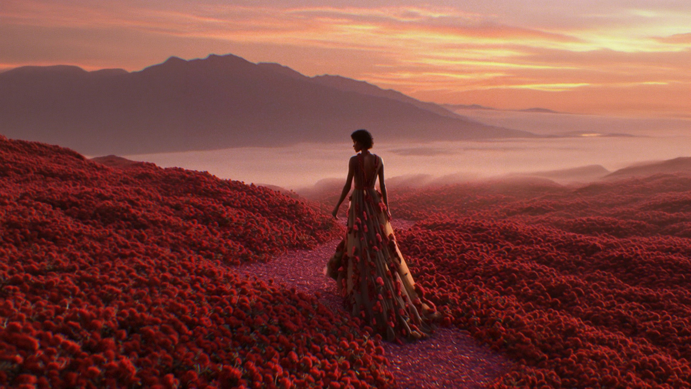 Alpeire Beauty - Visual Campaign