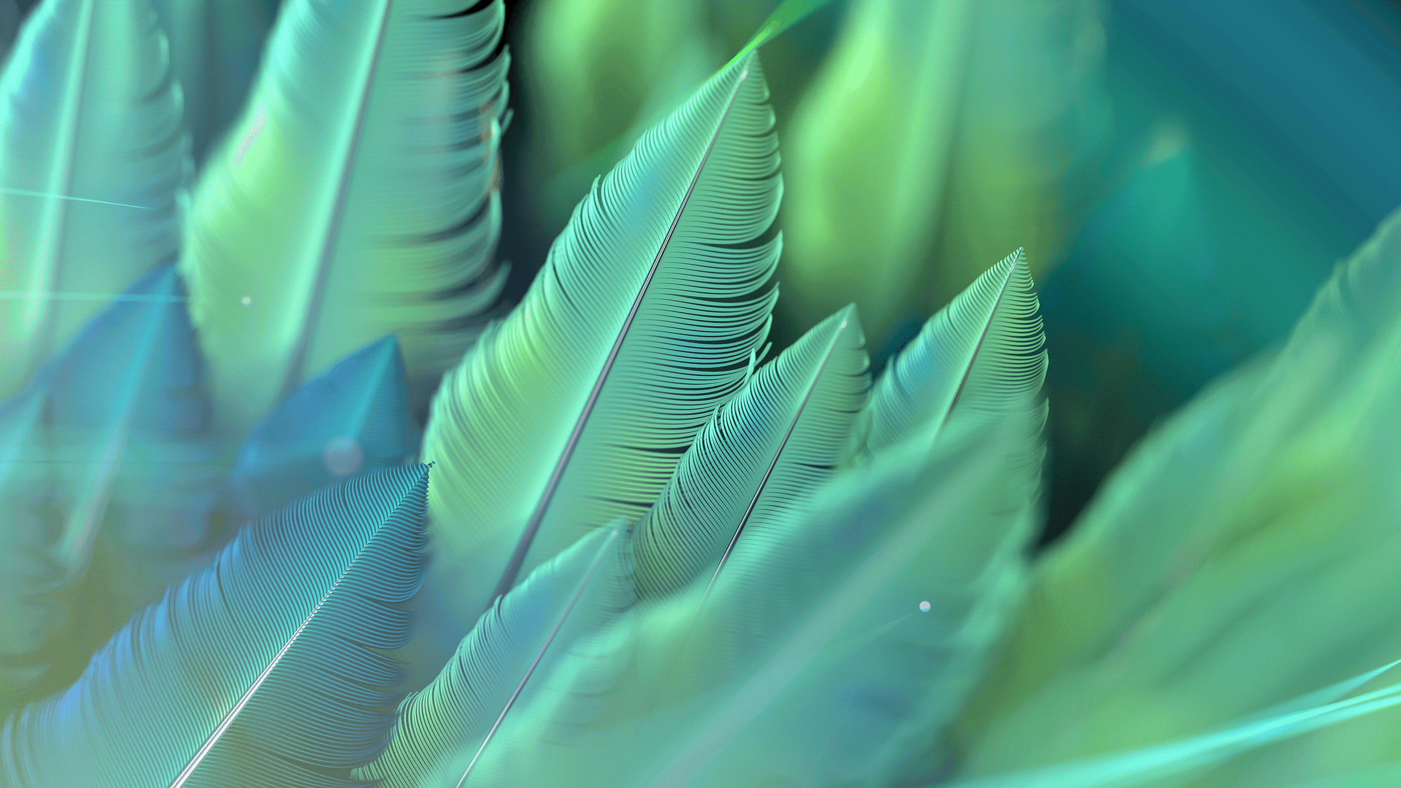 Clean and modern 3D animation representing financial flow for Bird Capital by Este Studio