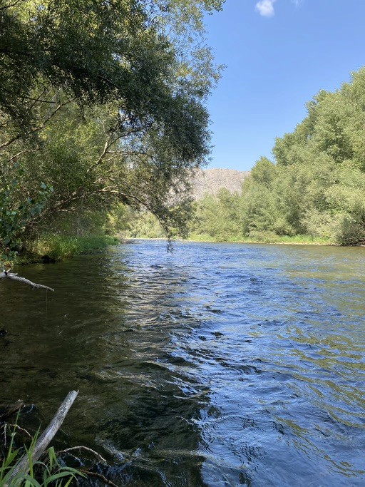 Winter fly fishing Barcelona trout