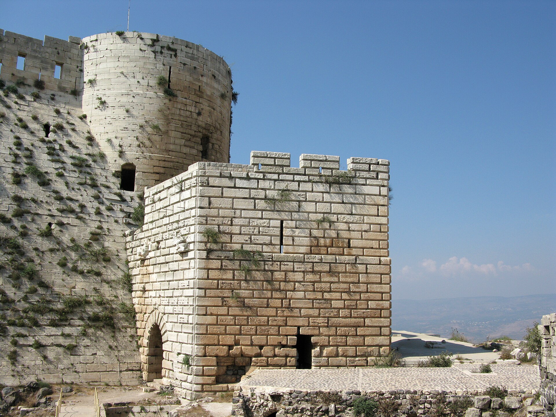 a tree with pink flowers in front of a store