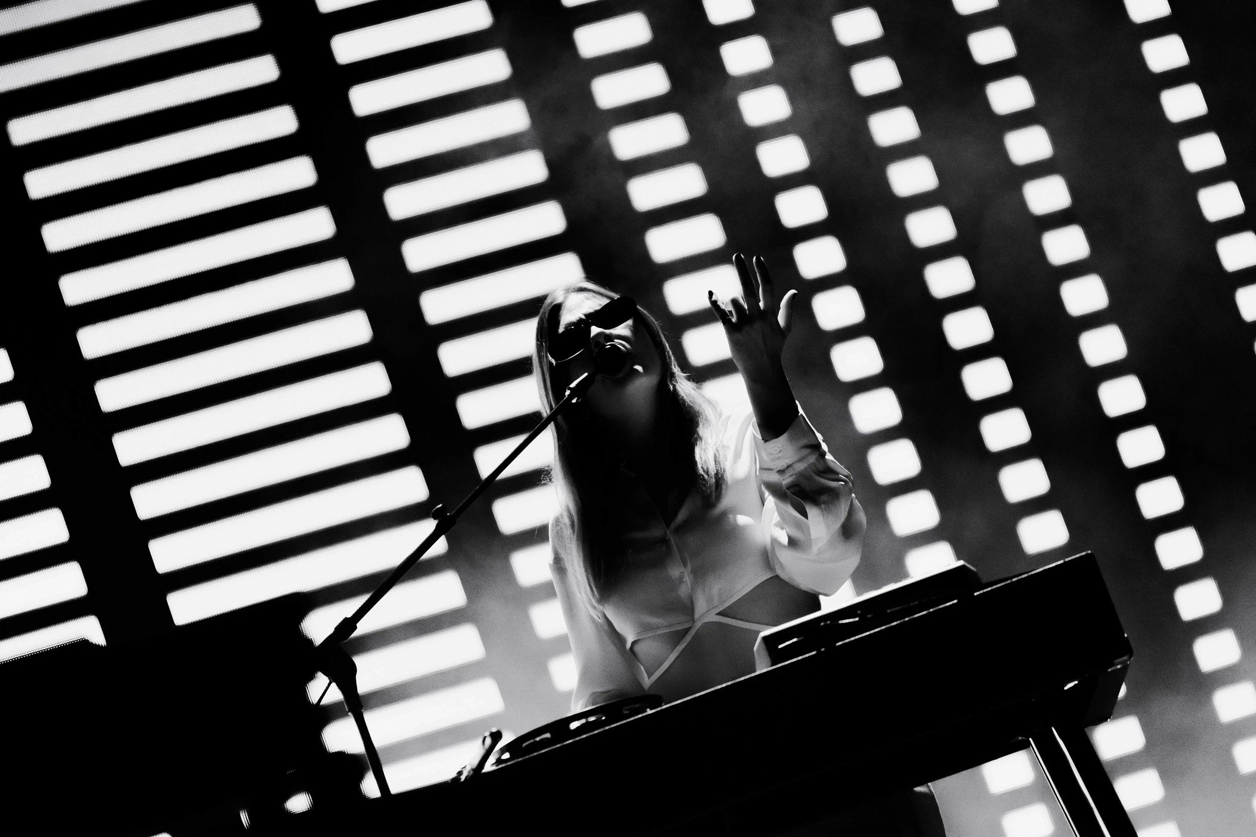 Jungle, event coverage by ANY & ALL STUDIOS, image 1 of 7