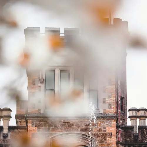 Sudeley Castle towers viewed through soft blurred flowers and foliage in the Cotswolds