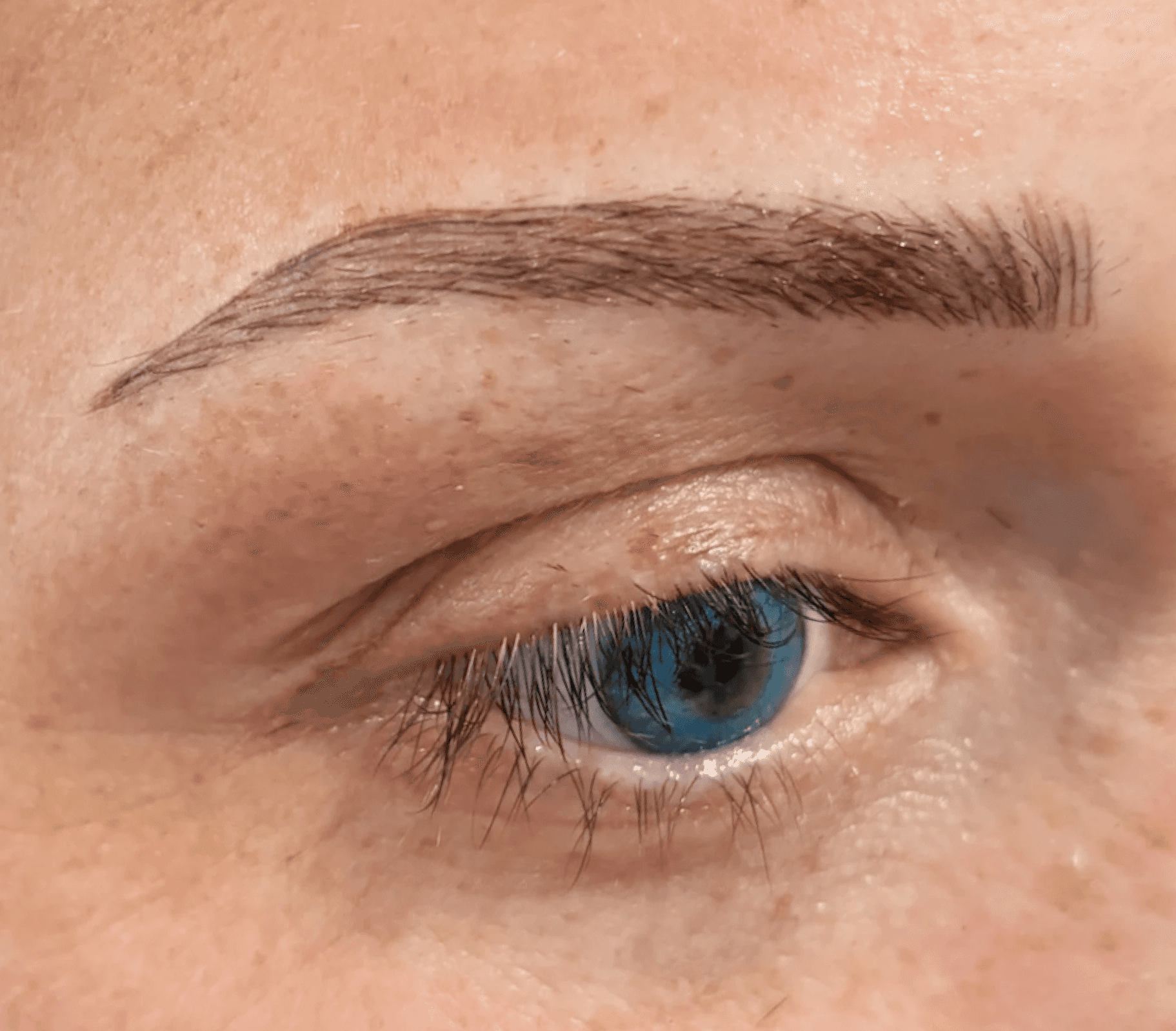 Close-up of a freshly microbladed eyebrow with crisp hair strokes and a defined arch for a natural look.