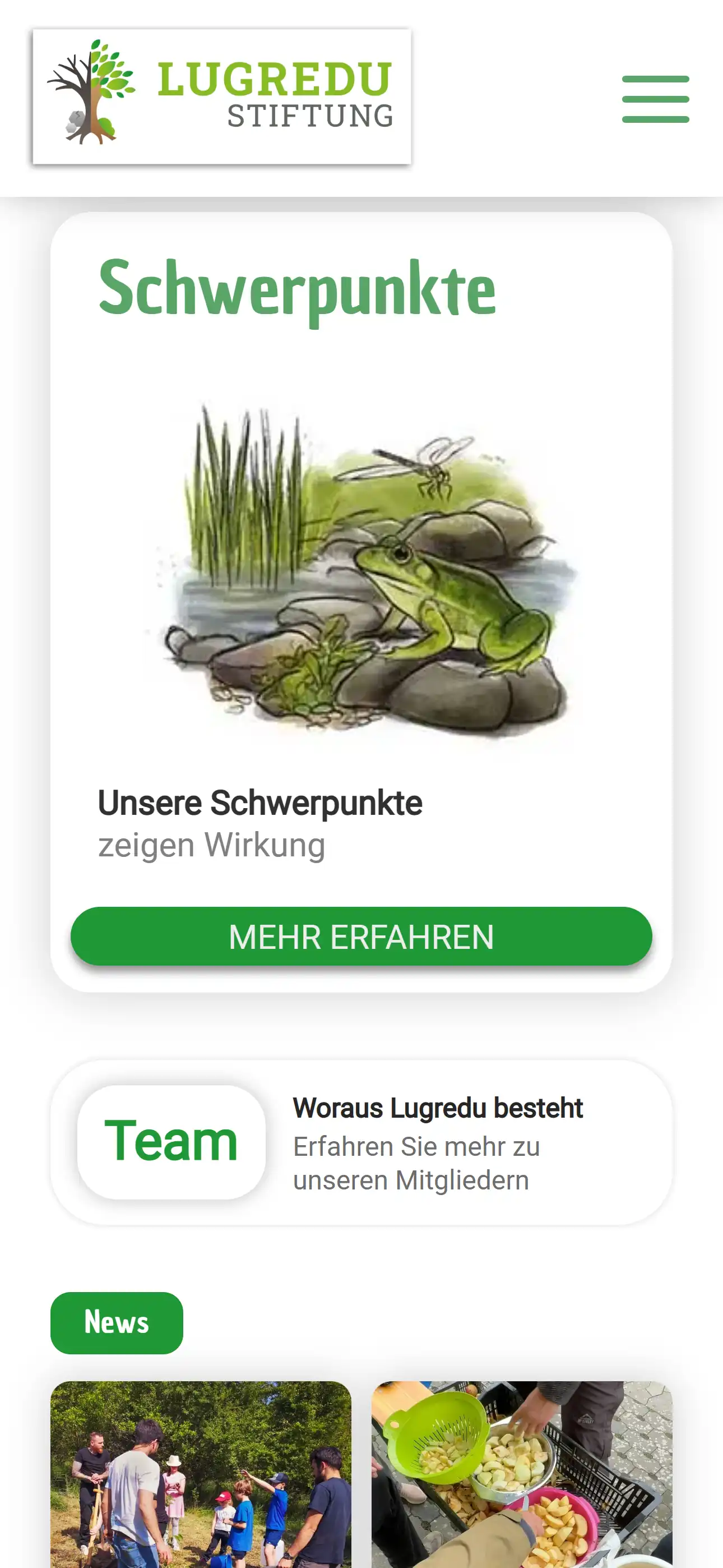 Screenshot der Mainpage der Lugredu Stiftung.