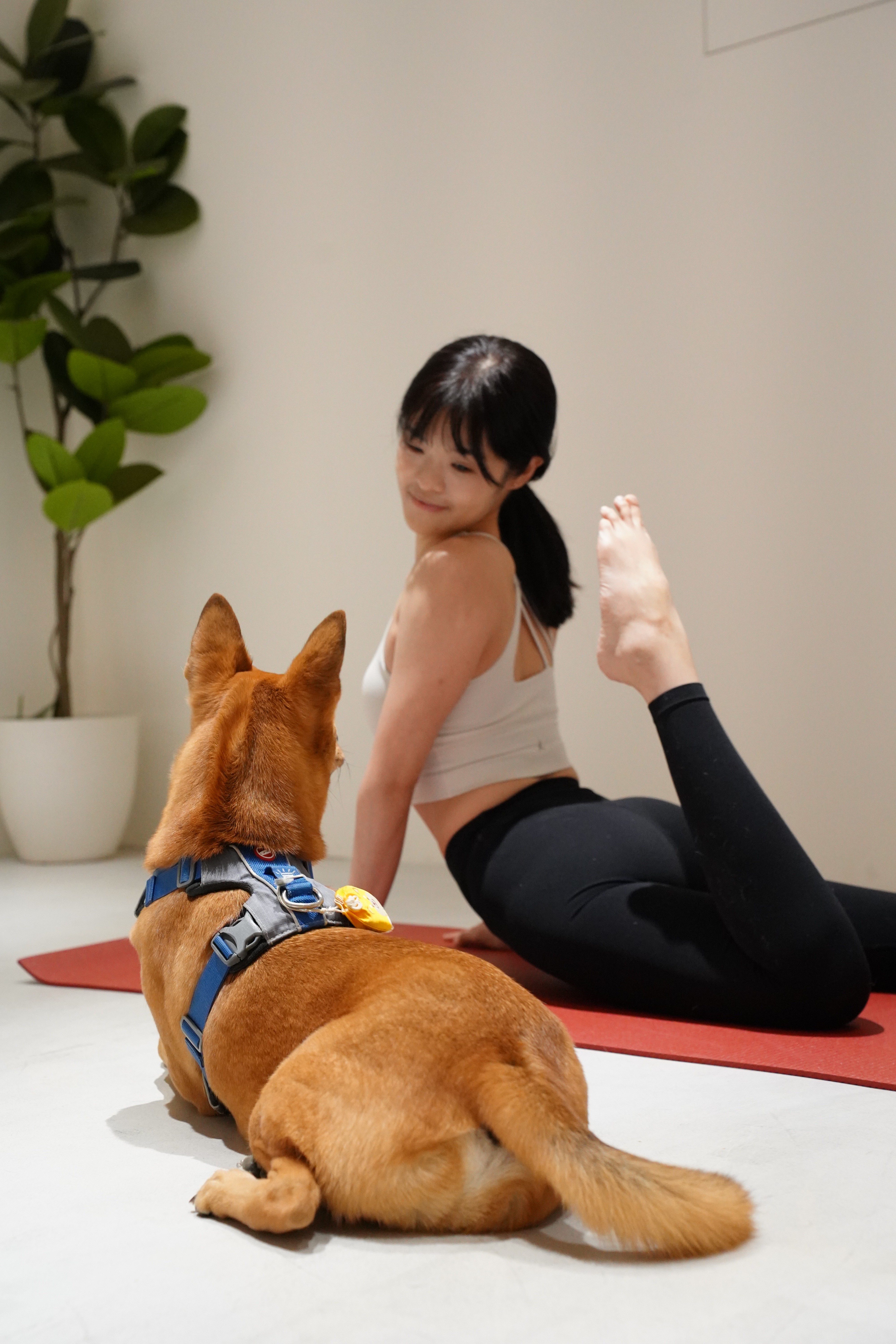 cool image of a guy posing in a vintage car