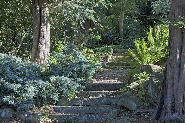 Hartingtons Heritage Tours hotel, Darley House, Garden