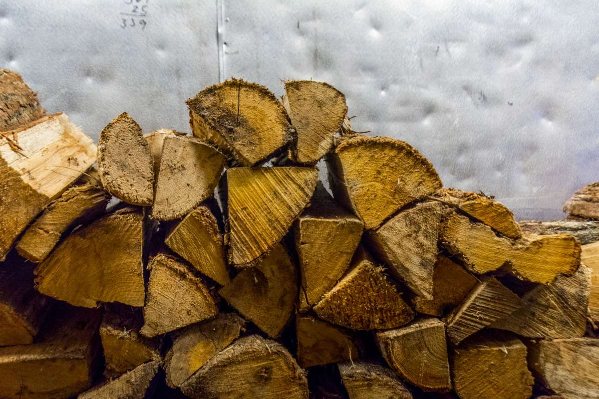 A pile of split logs with visible wood grain and bark sits against a textured gray wall in bright daylight.