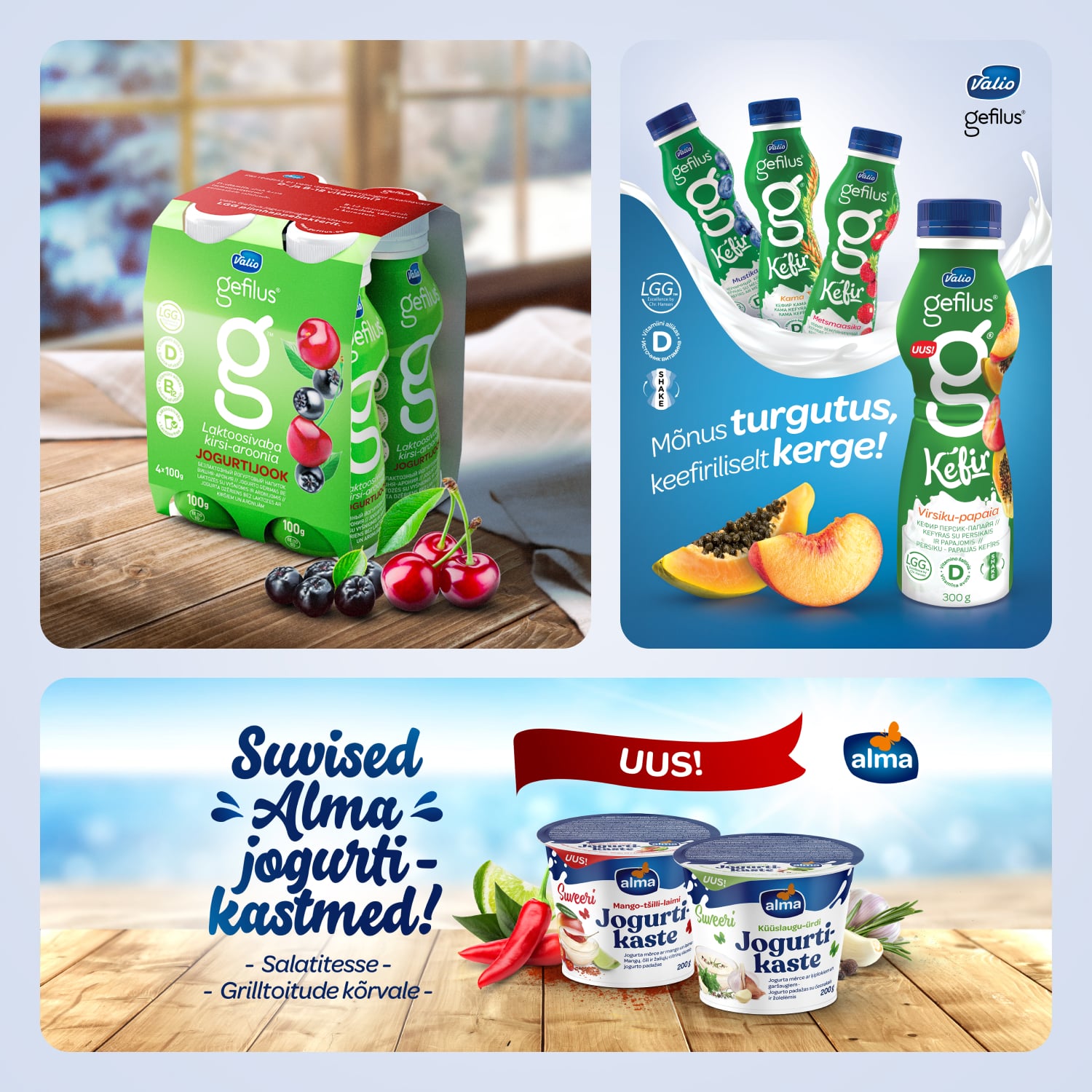 Valio Social Media Ads