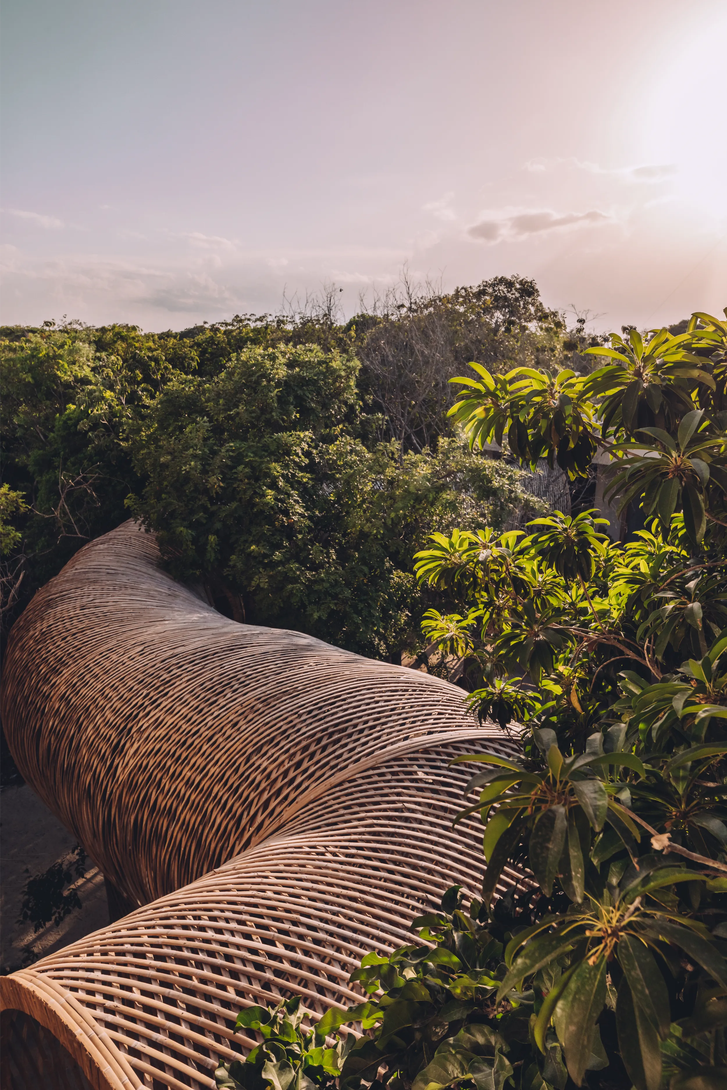 Elevated view of the Cervecería Tulum bamboo roof, designed to resemble a giant snake winding through the dense Maya jungle canopy.