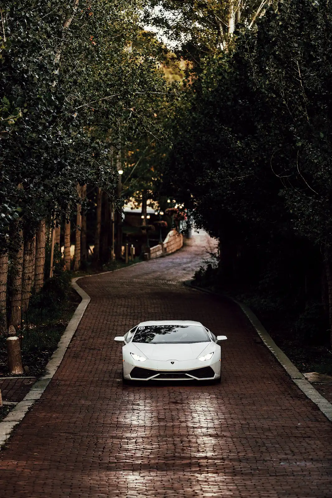 LUXE AUTO SPA — image 06 of 7
