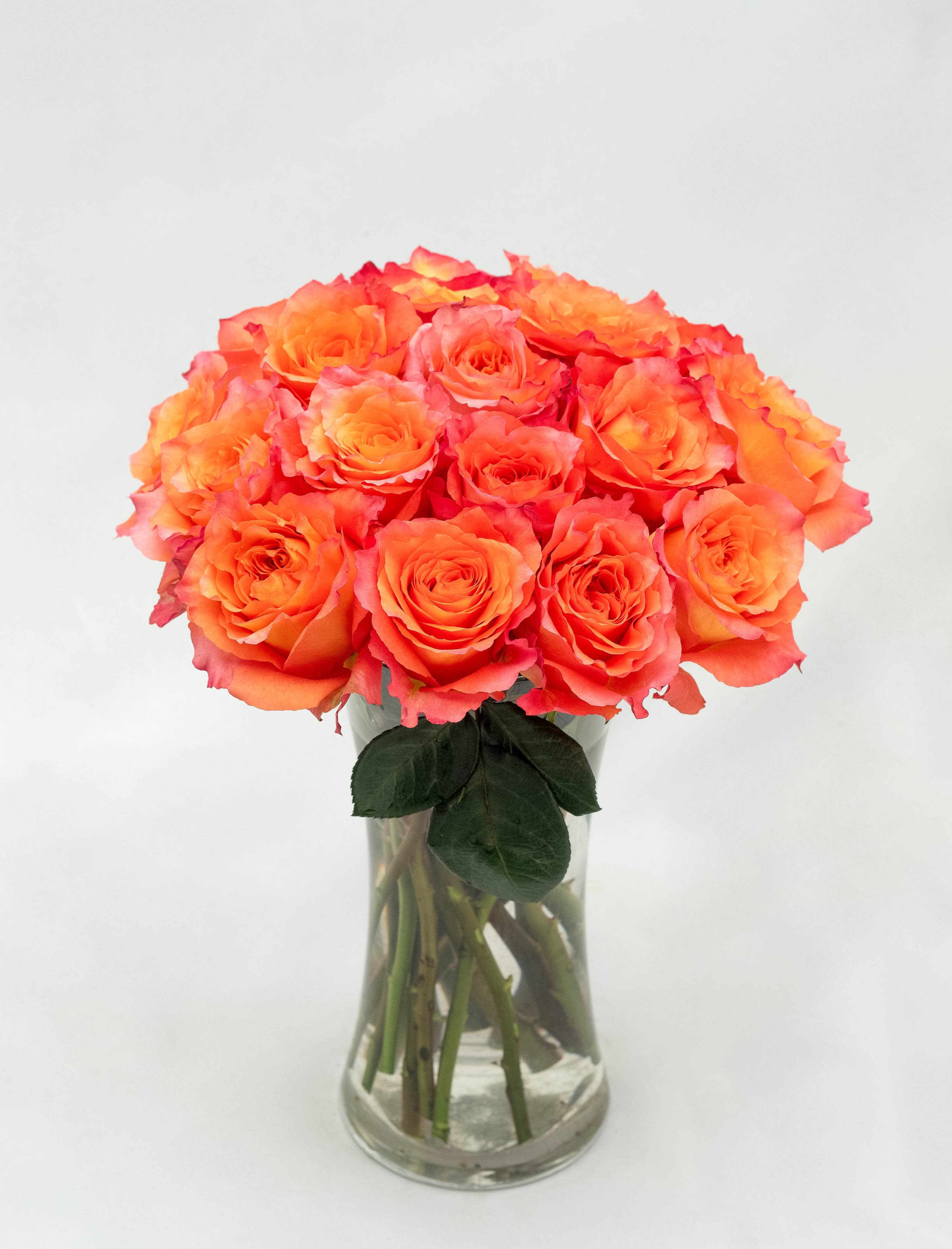 Image of modern living room