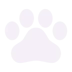 Pawshy Icon