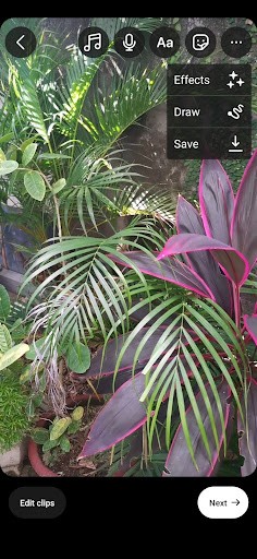 the drop- down menu reveals some additional editing tools