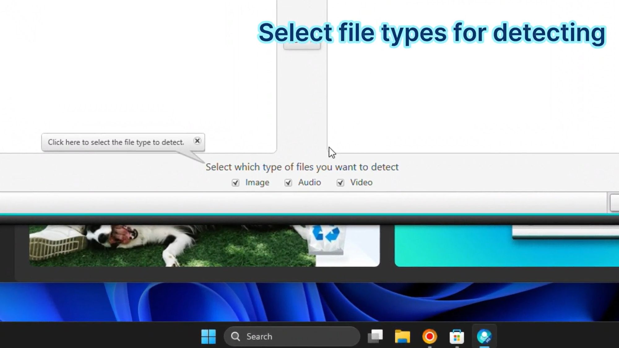 File Type Selection Interface
