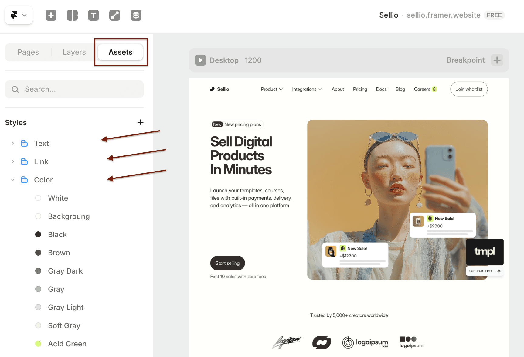 Assets Styles Framer