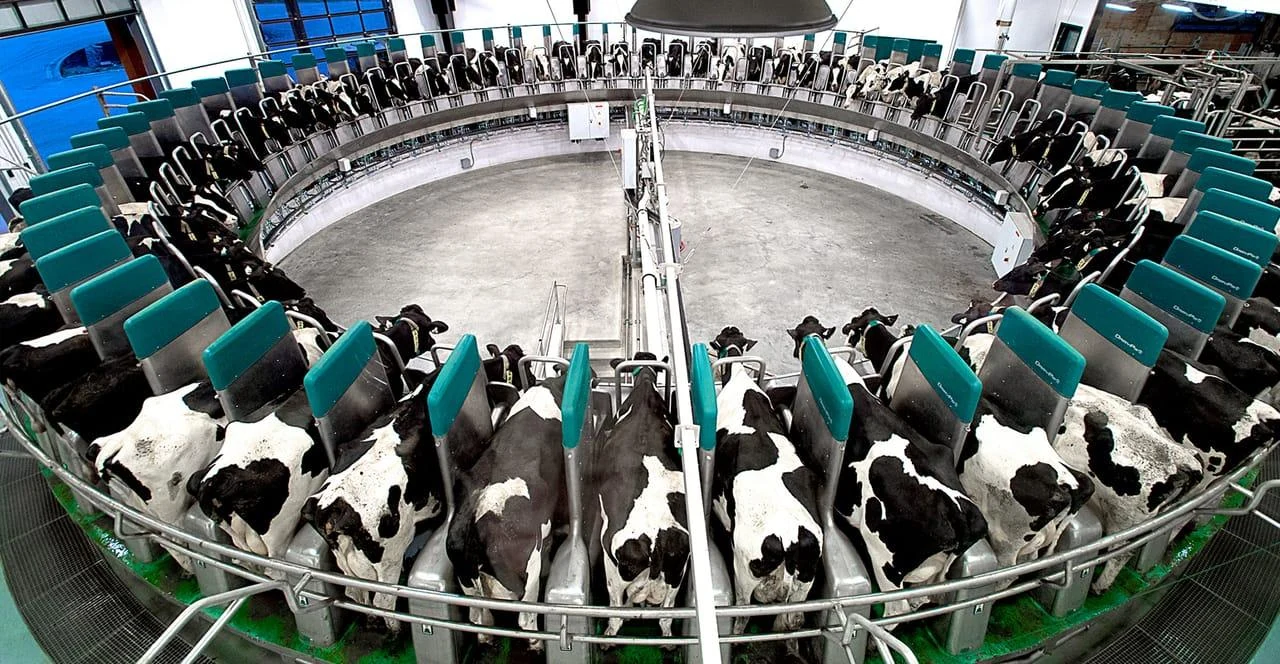 Modern rotary milking system