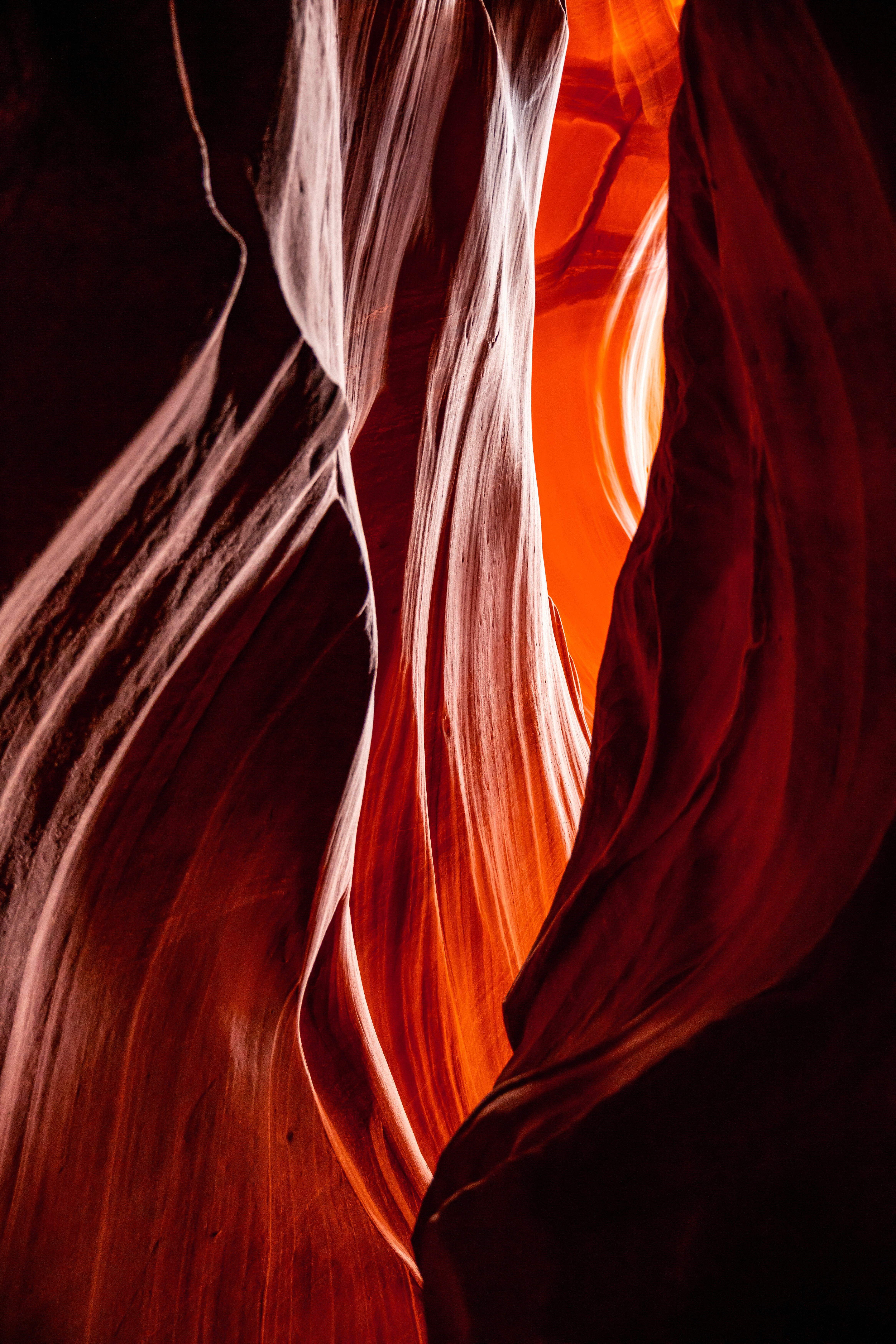 orange red card studio background