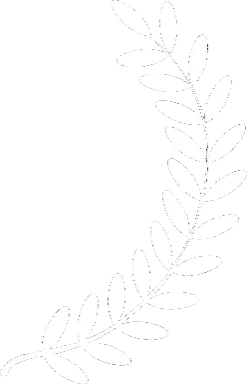 White leaf branch on black background