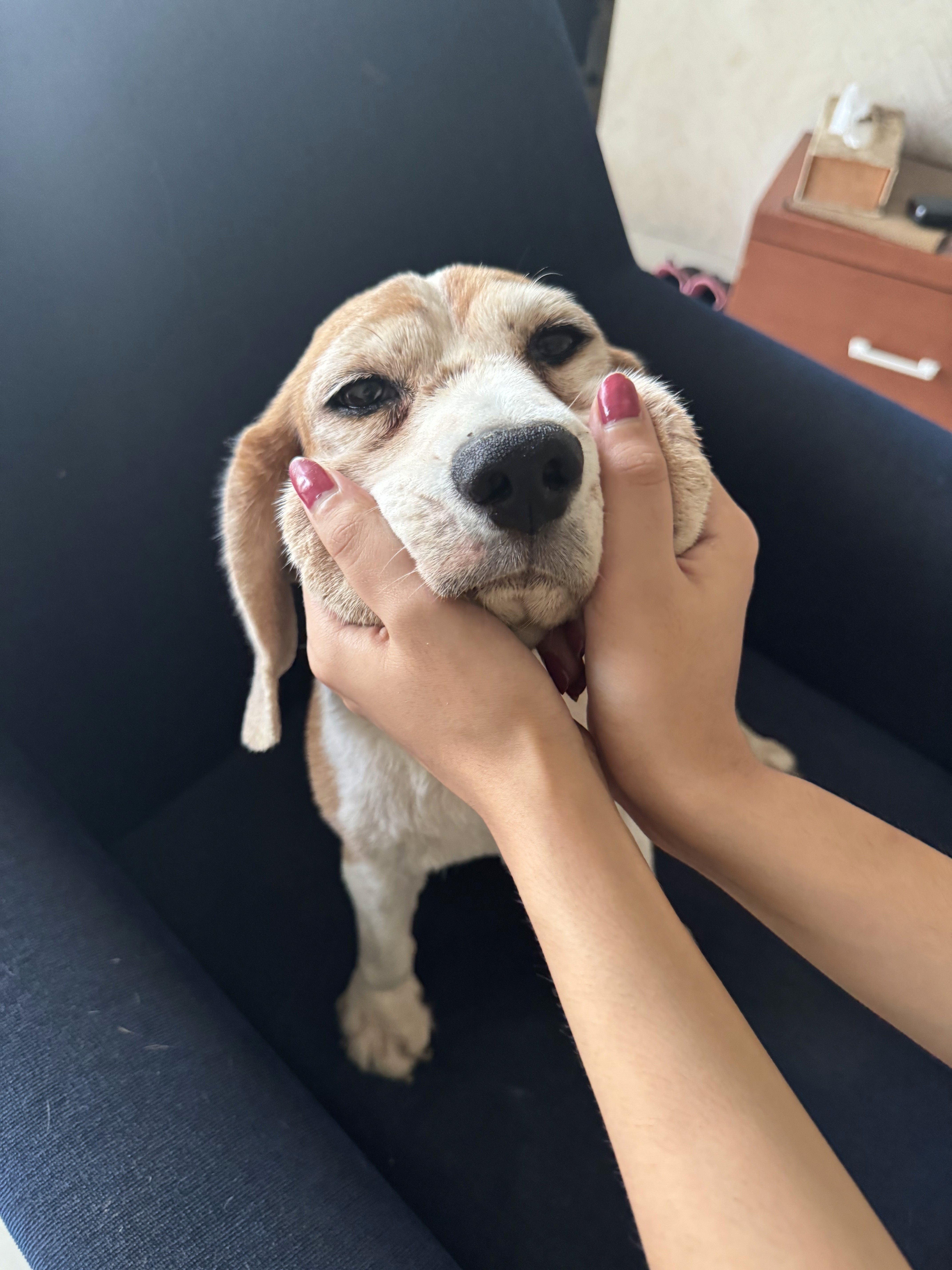 Meet my sweet girl Hailey :)