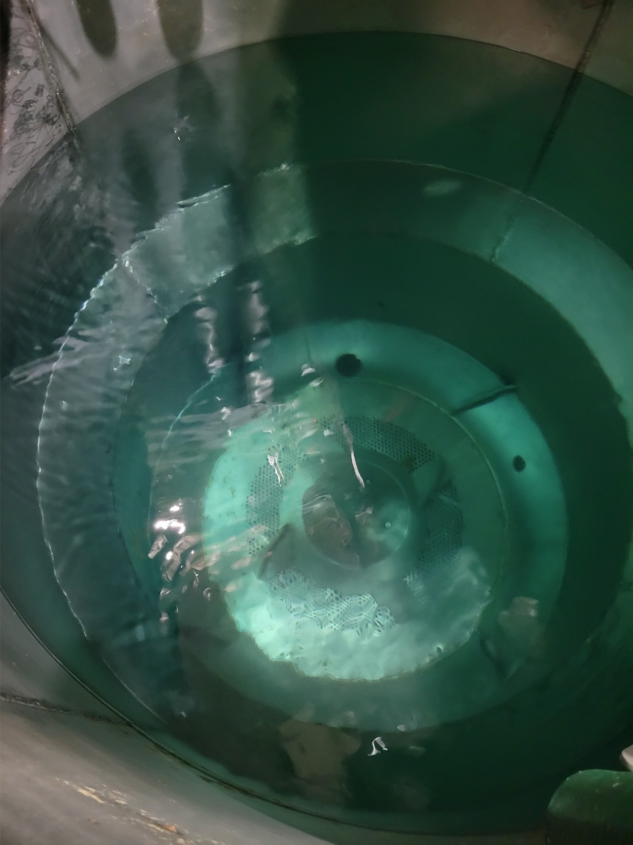 The Hydrapulper DR in operation - the turbulent free surface and vortex behavior driven by the rotor are clearly visible. Capturing this physics accurately in CFD was the central challenge of the project.