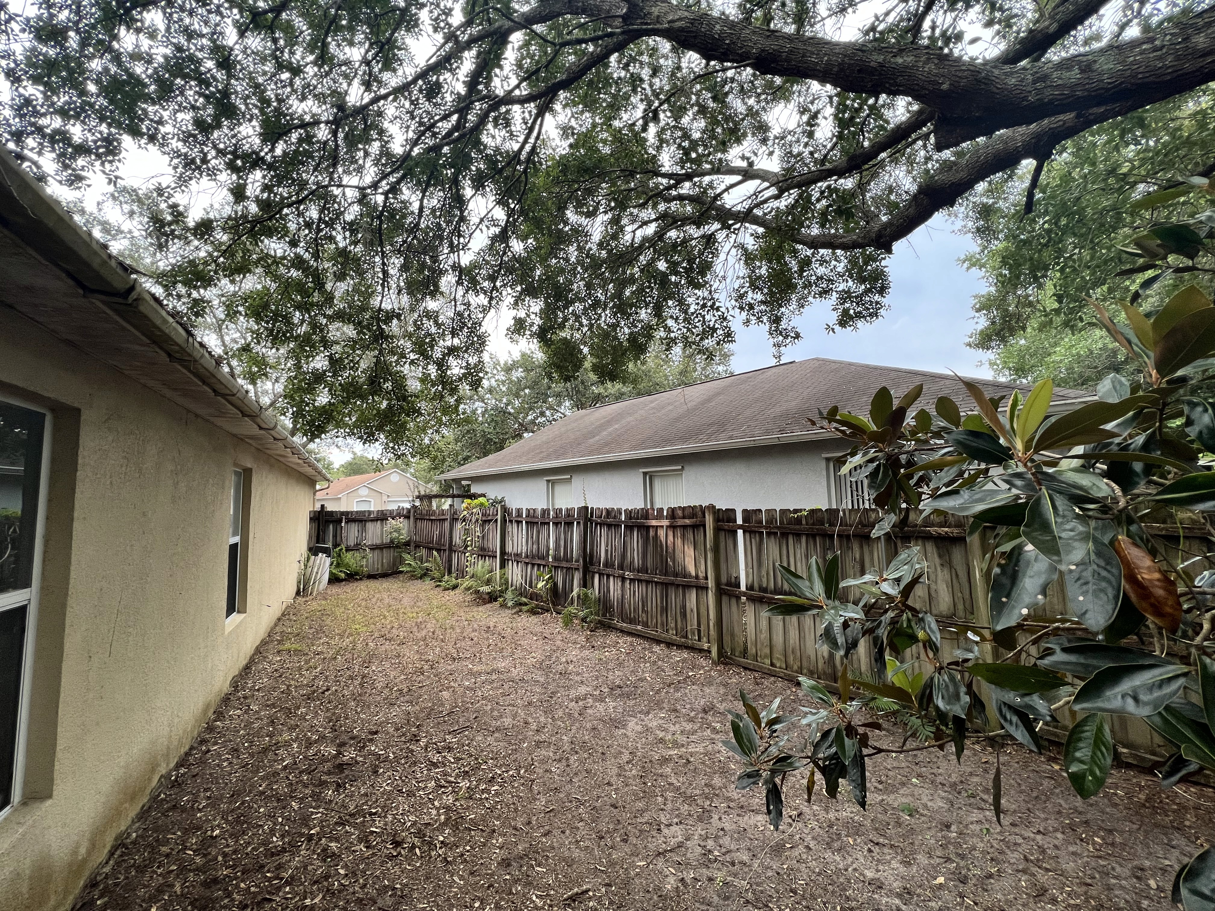 Residential backyard with overgrown vegetation and leaf buildup after Superior Image property cleanup and lawn restoration service in Orlando FL