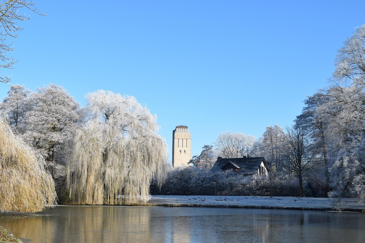 baumpflege Delmenhorst 