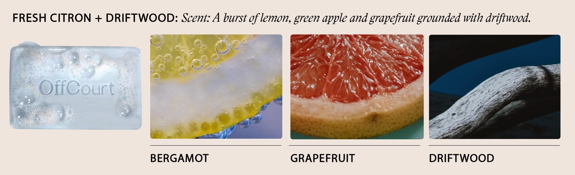 Offcourt Amazon A+ Graphic