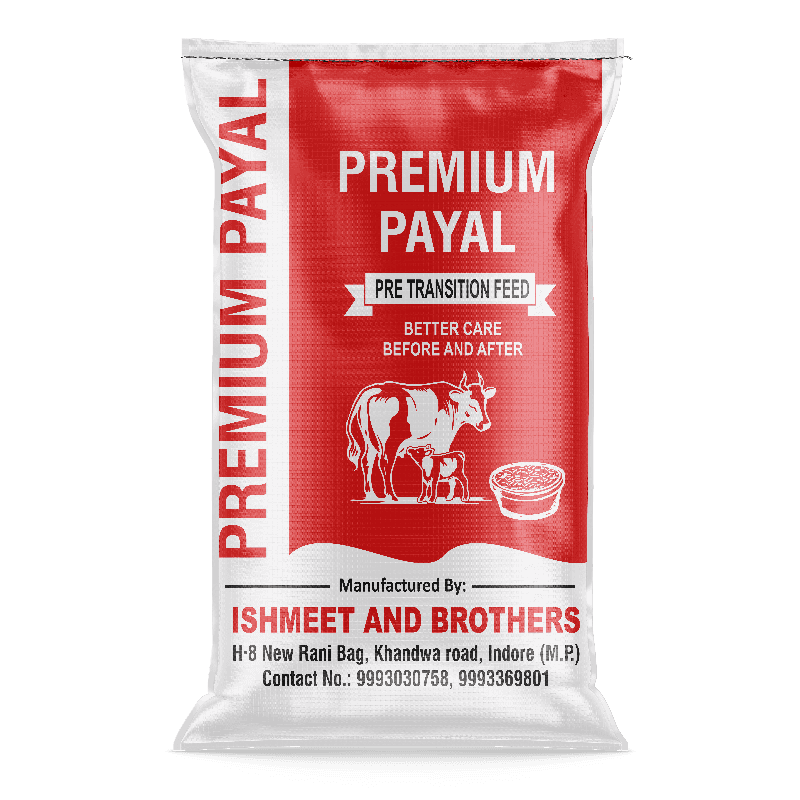 Premium payal pre transition feed