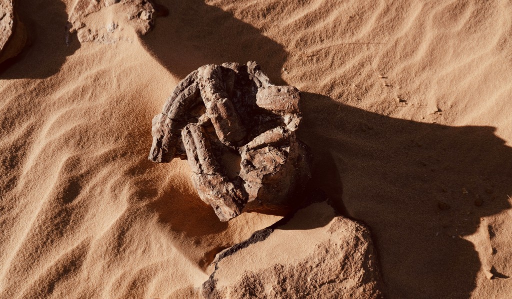 A weathered rock formation rests on the sandy desert floor, casting a long shadow in the sunlight and showcasing the natural textures and patterns of the arid landscape.