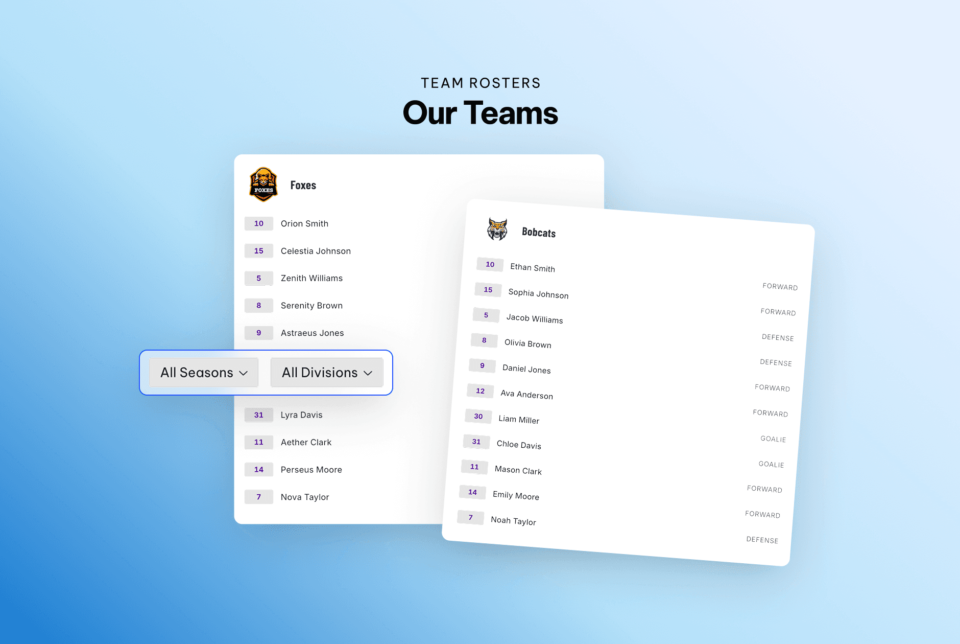 TeamLinkt website team rosters page showing player lists that sync automatically across teams