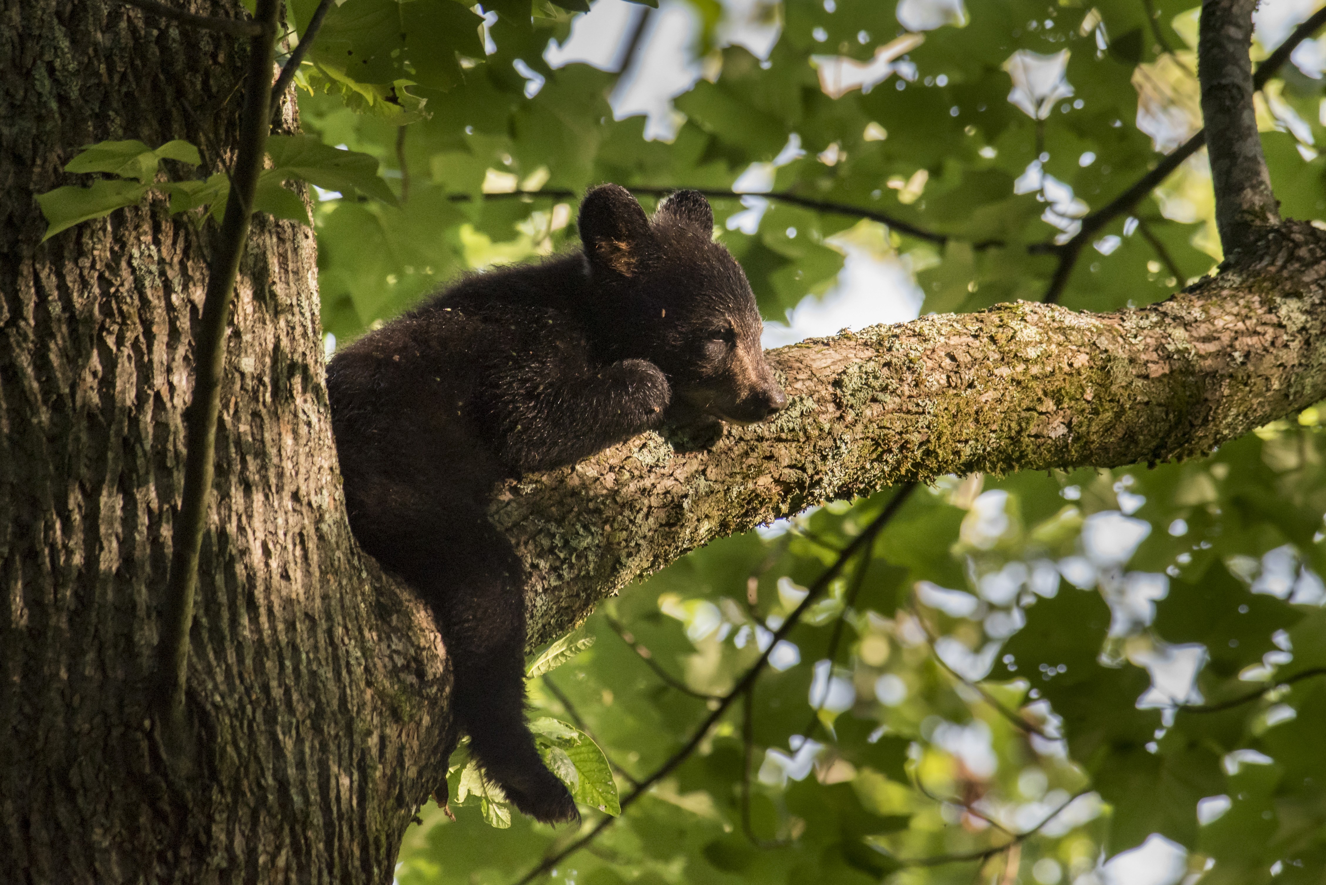 Photo By: Andrew Snyder