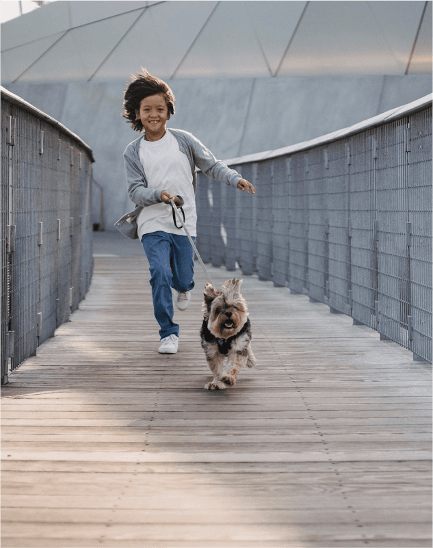 Small dog pulling kid with his leash