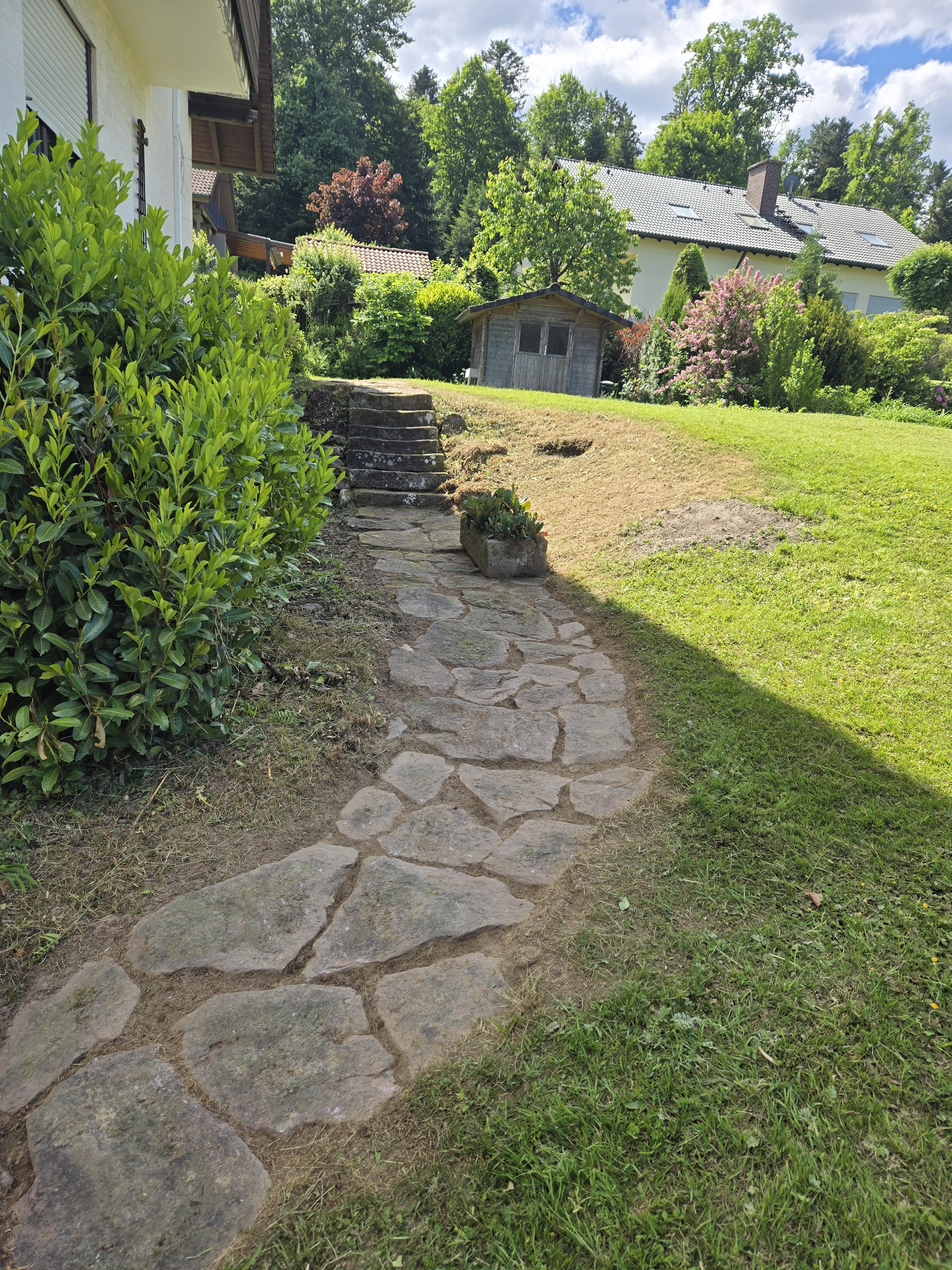 Professional road cyclist riding at the front of a group on a forest road wearing a turquoise racing kit.
