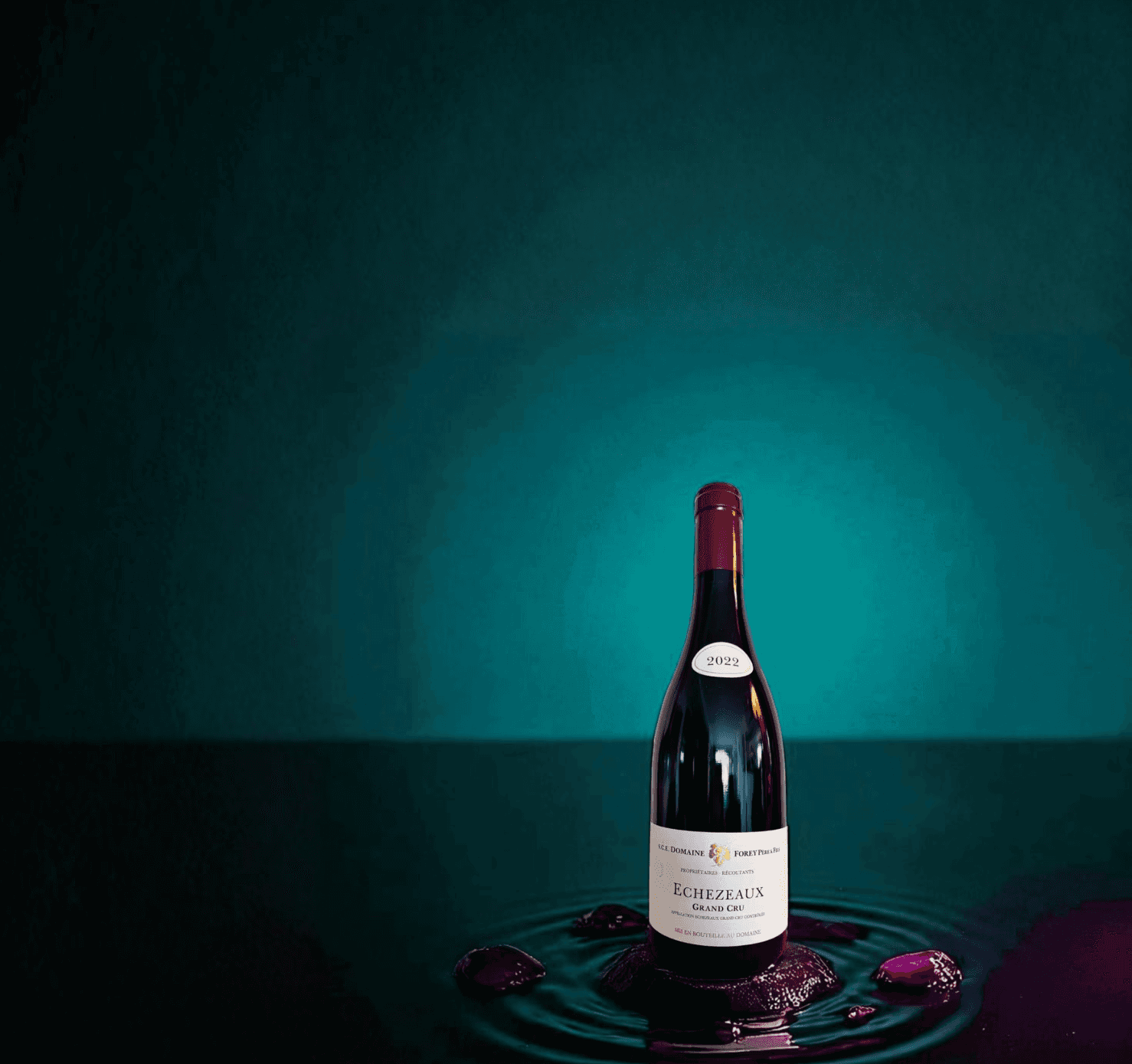 Photo de la bouteille "Echezeaux Grand Cru" du domaine Régis Forey sur fond bleu canard