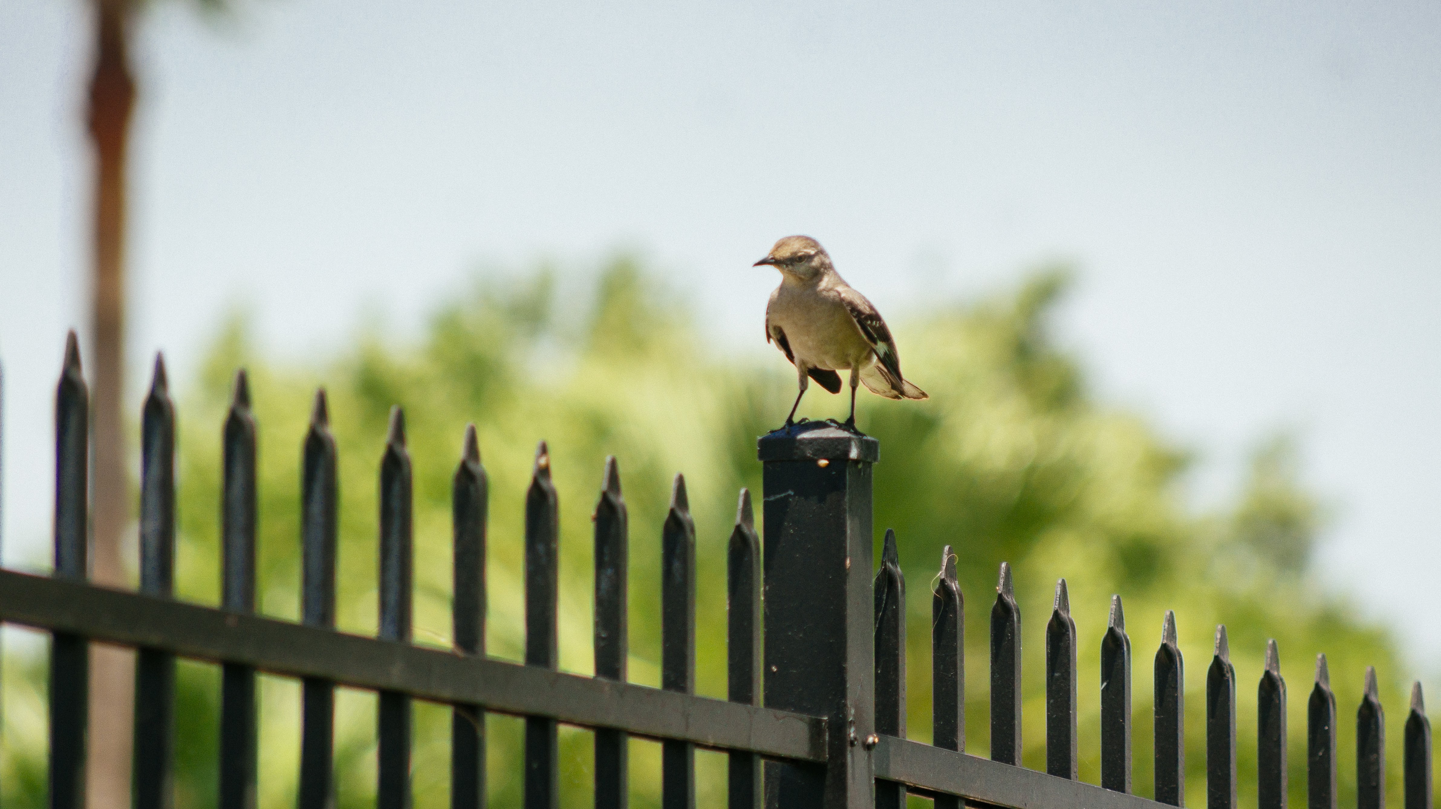 two people in kayaks paddling on the water