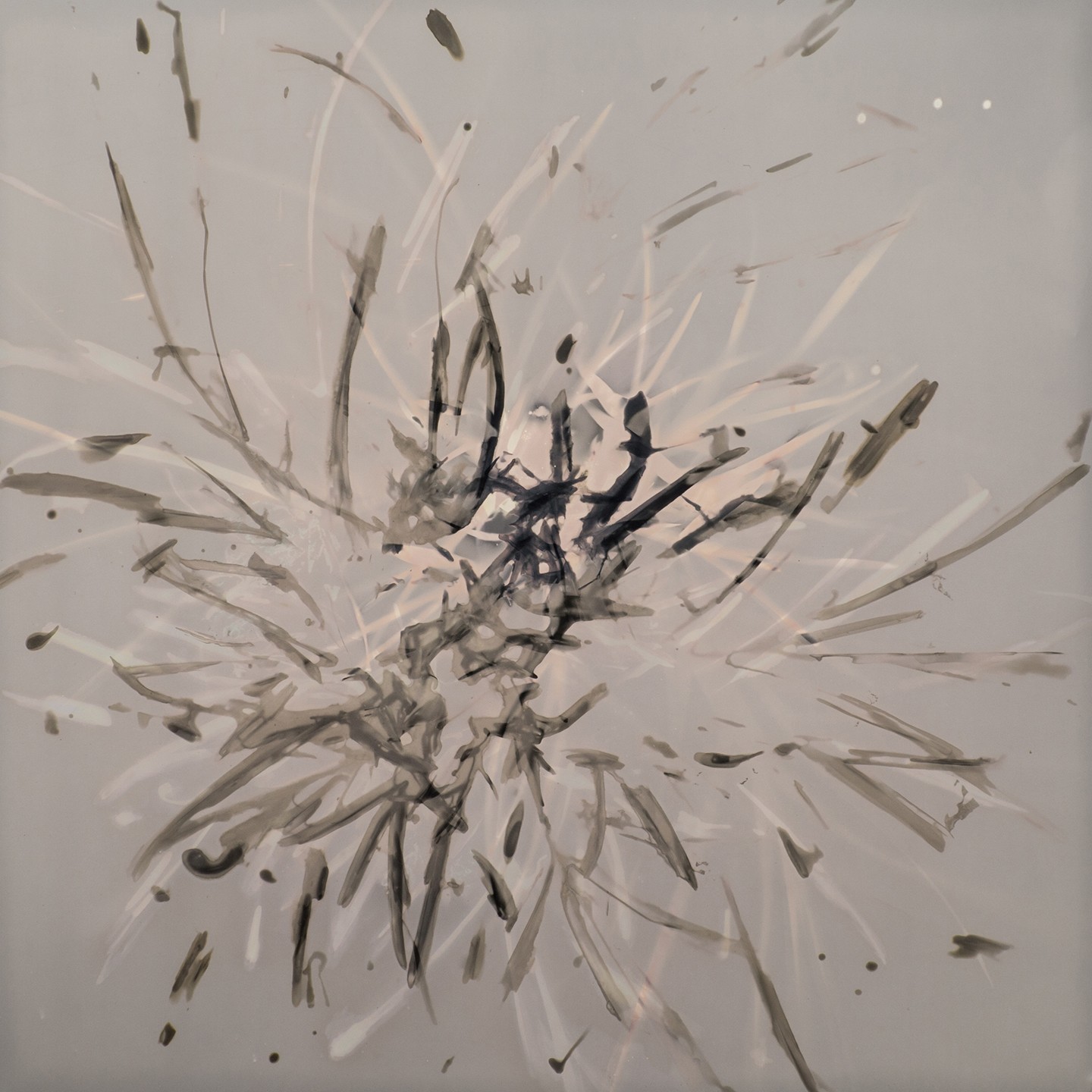 Diego Obligado Galería de Arte - Diego Vergara. Dibujos. Lo numinoso, Examen de conciencia y Los próximos. Pertenecientes al tríptico Estado de situación Grafito sobre papel - 70 x 50 cm. CU - 2024 