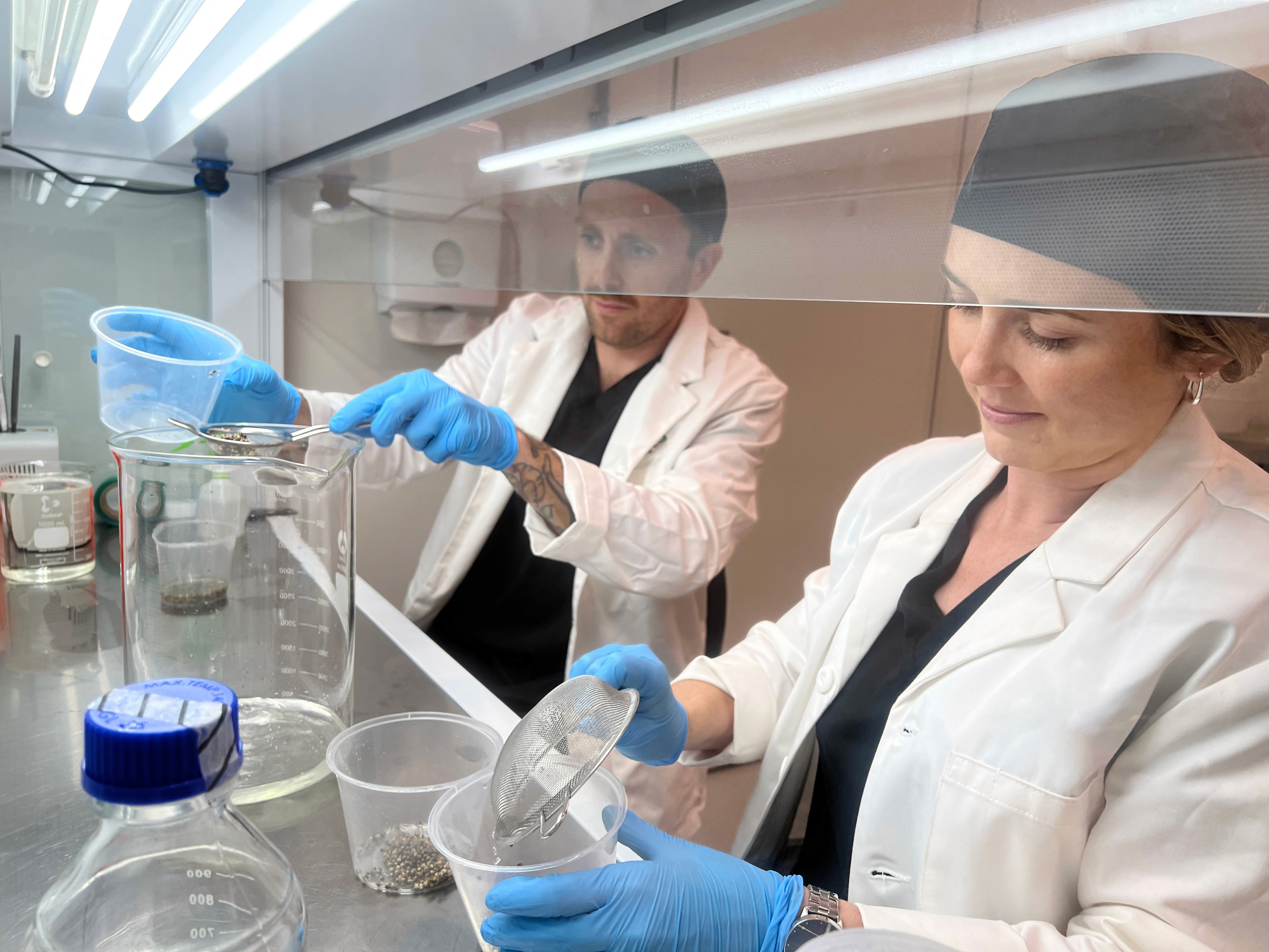 Spring Science Lab About us | Spring Sciences Australia