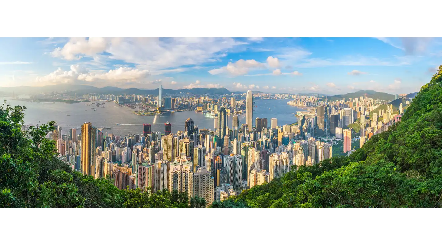 hong kong skyline with forest in foreground